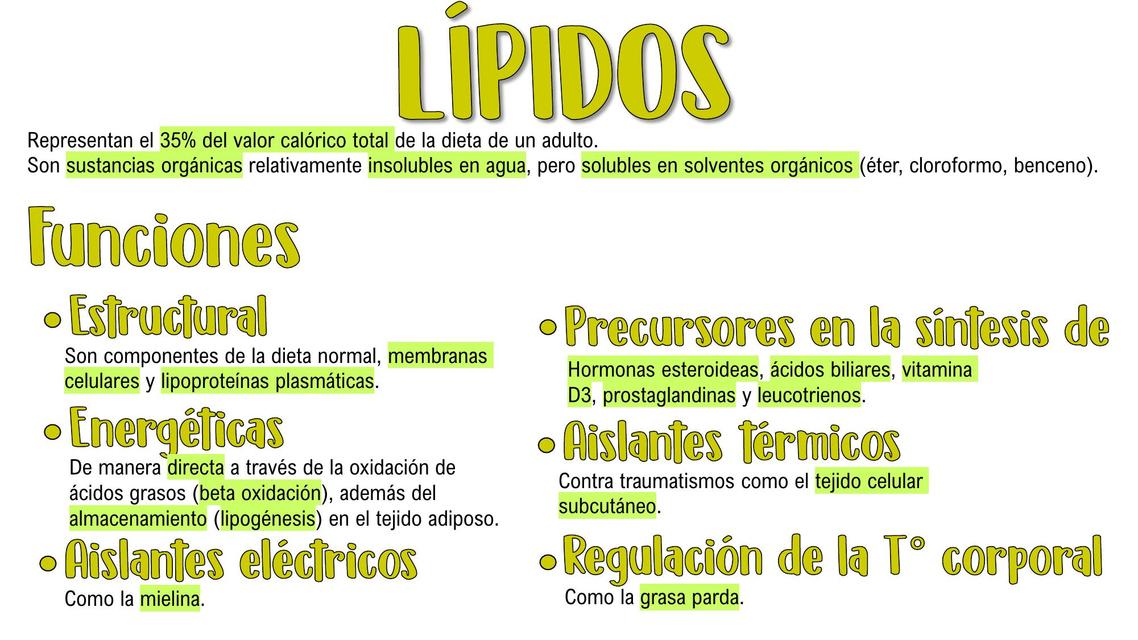 Lípidos