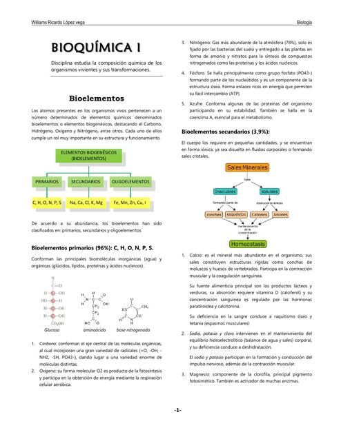 Bioquímica 