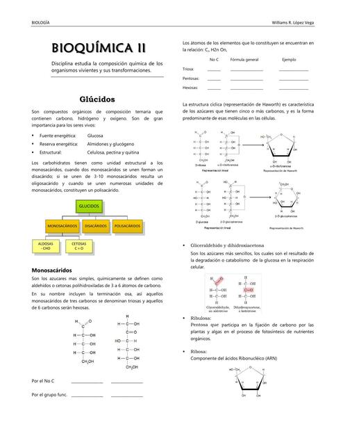 Bioquímica II