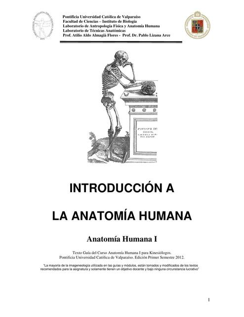 Introduccion a la anatomia I