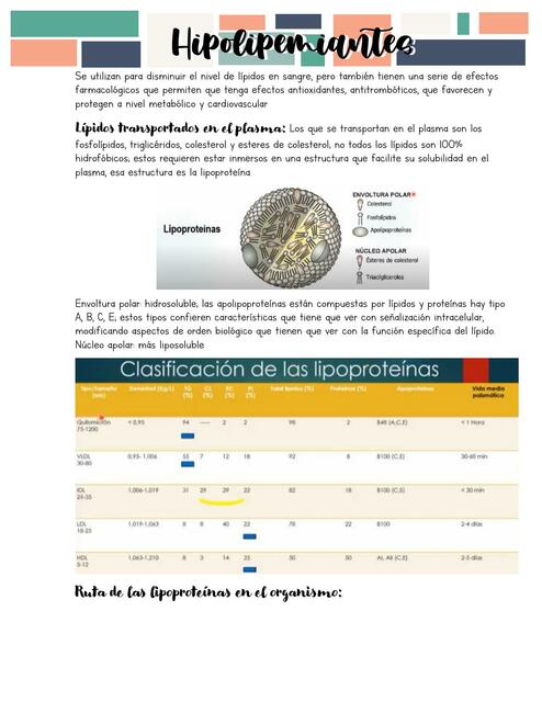 Hipolipemiantes Hiper e Hipoglicemiantes 