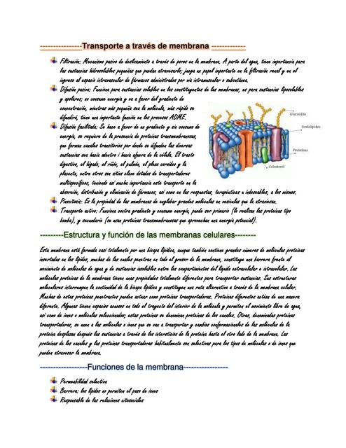 Transporte a Través de Membrana 