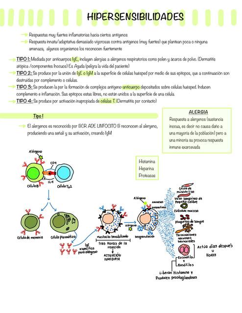 Hipersensibilidades