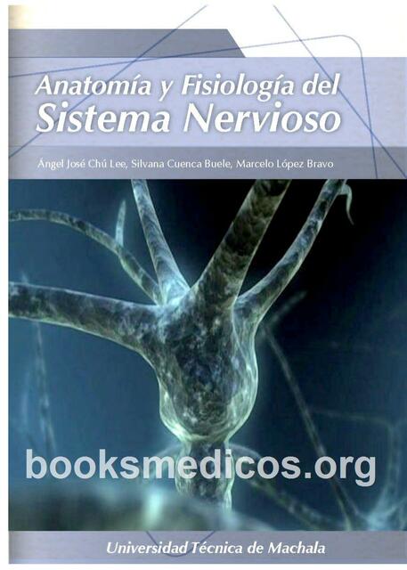 Anatomía y Fisiología del Sistema Nervioso 