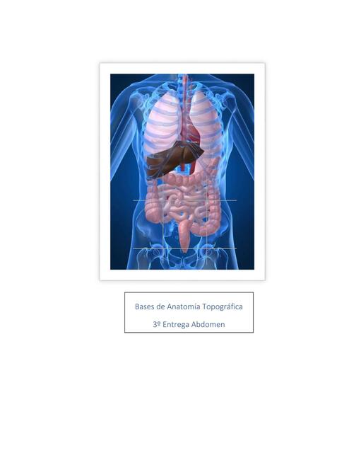 División Topografía Abdominal y Peritoneal 