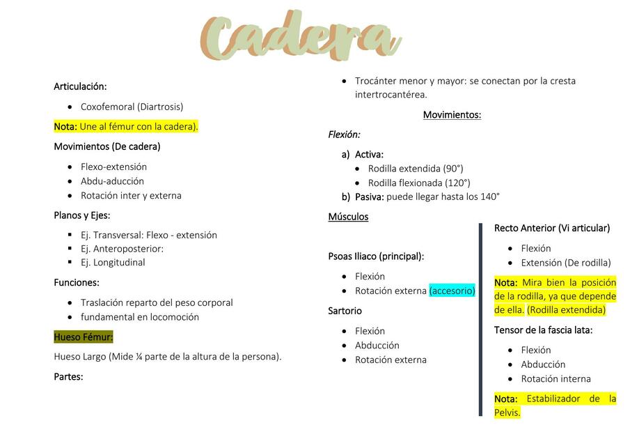 Cadera