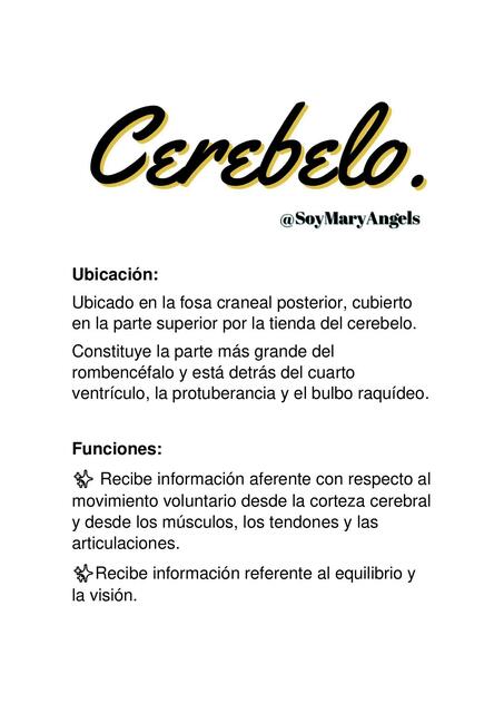 Cerebelo