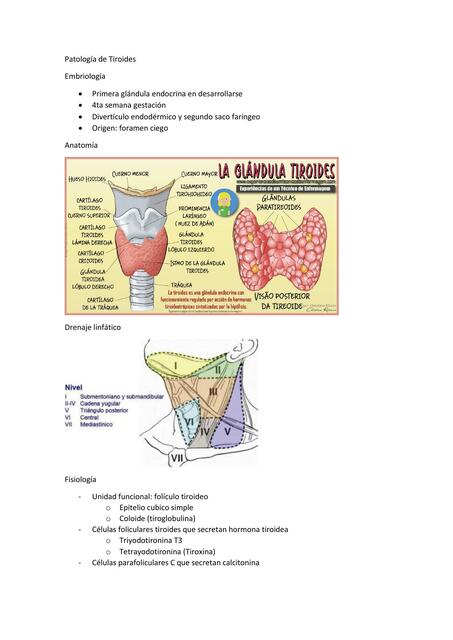 Patología de Tiroides