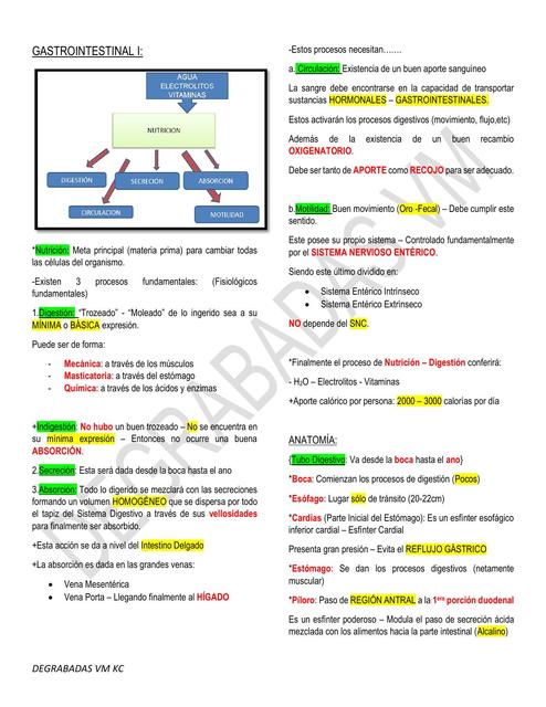 Gastrointestinal Clase I