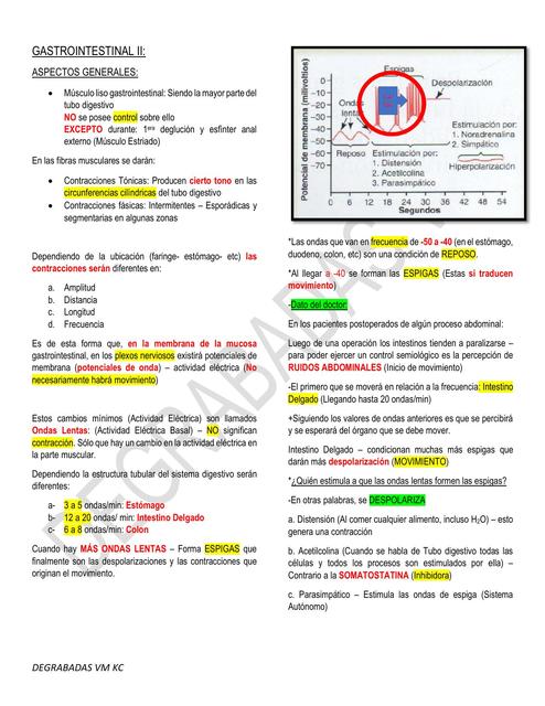 Gastrointestinal Clase II