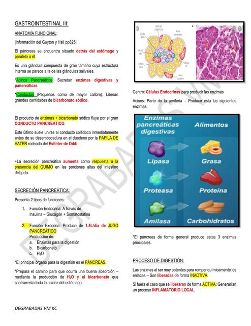 Gastrointestinal Clase III