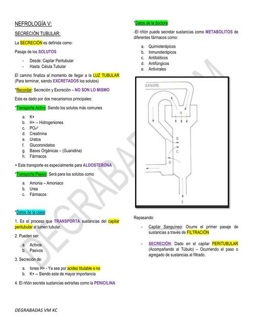 Nefrología Clase V