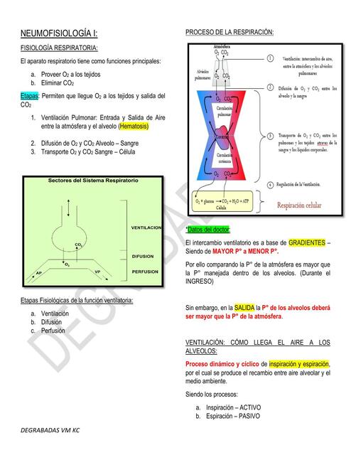 Neumofisiología Clase I