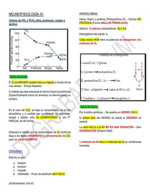 Neumofisiología Clase IV