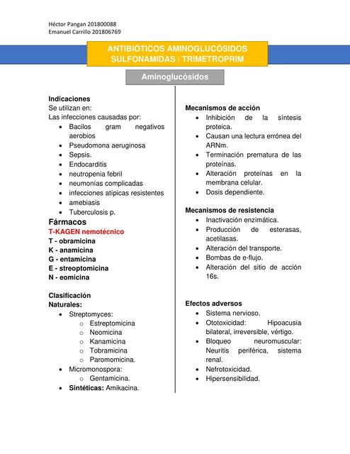 Antibióticos Aminoglucósidos 