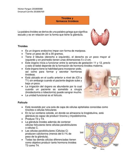 Tiroides y fármacos tiroideos