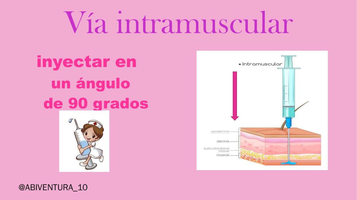 Vía Intramuscular