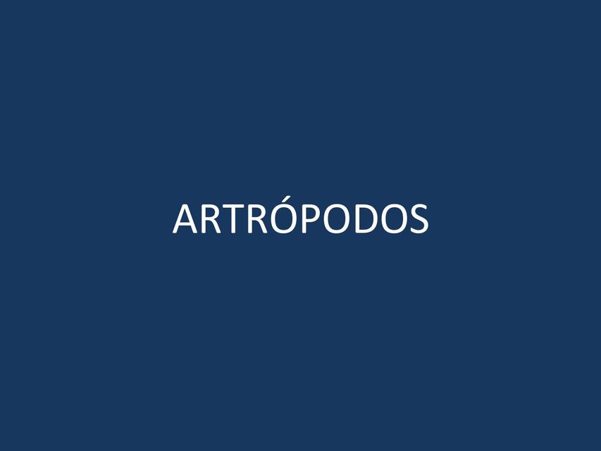 Artrópodos