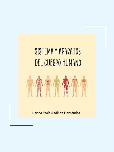 Resumen Sistema y Aparatos del Cuerpo Humano