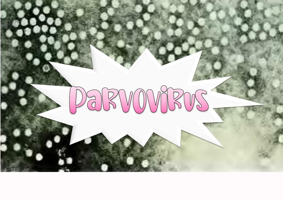 Parvovirus