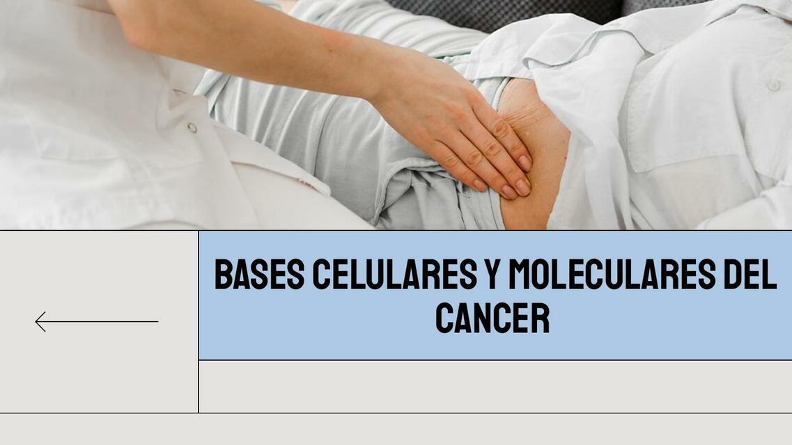 Seminario del Cáncer 