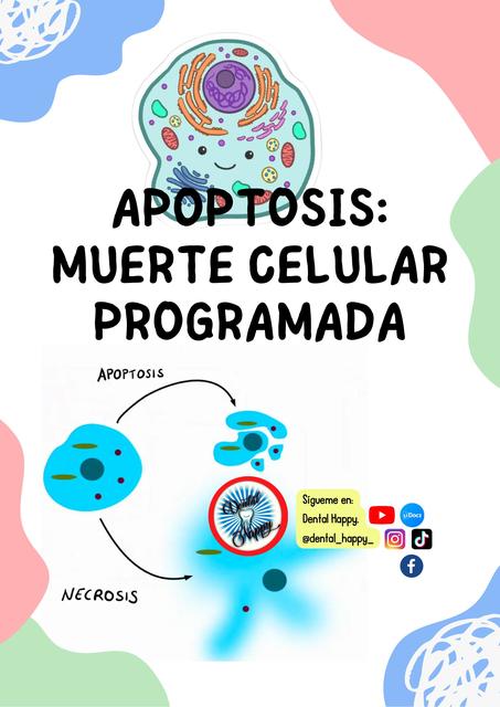 Apoptosis (muerte celular programada) | Alan Díaz | uDocz