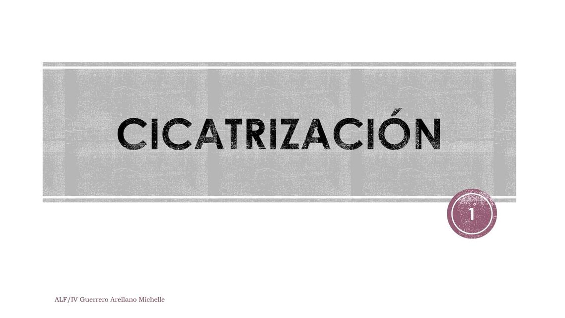 Cicatrización 