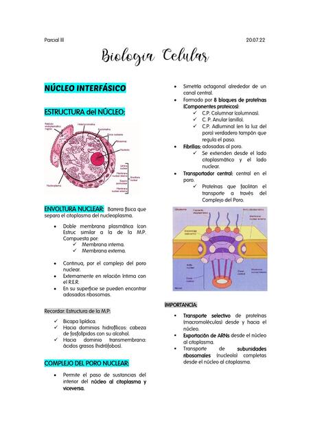 Biología Parcial III