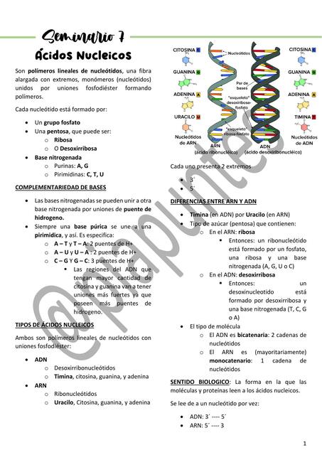 Biología Celular Sem 7 CAT III UBA