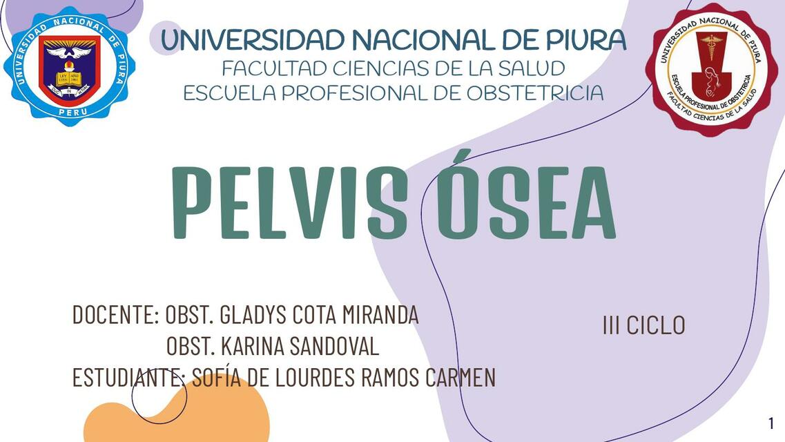 Pelvis ósea