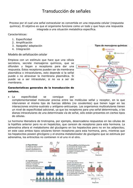 Transducción de Señales 