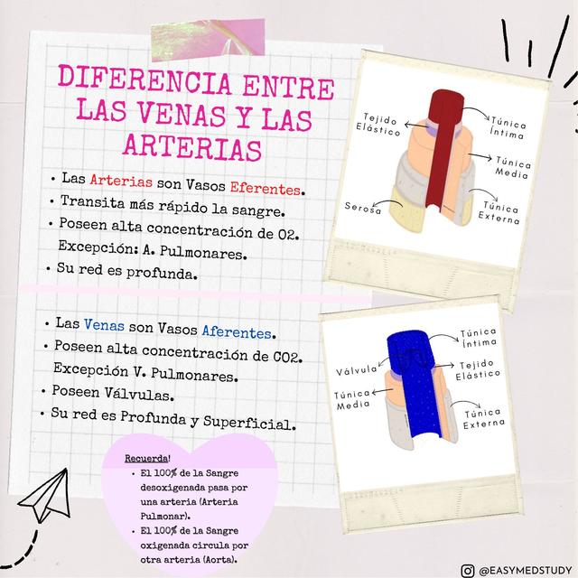 Diferencia entre las Venas y las Arterias