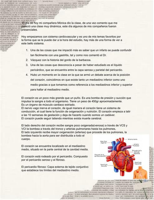 Reporte de Cardiología