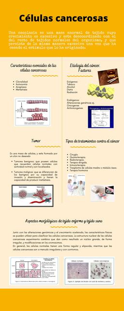 Células Cancerosas