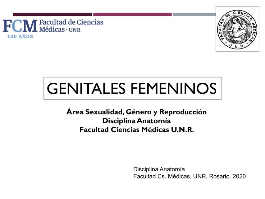 Genitales Femeninos