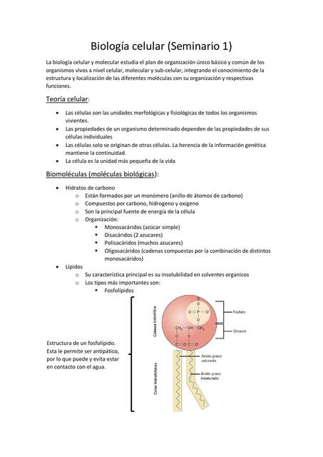 Seminario 1 Biología celular