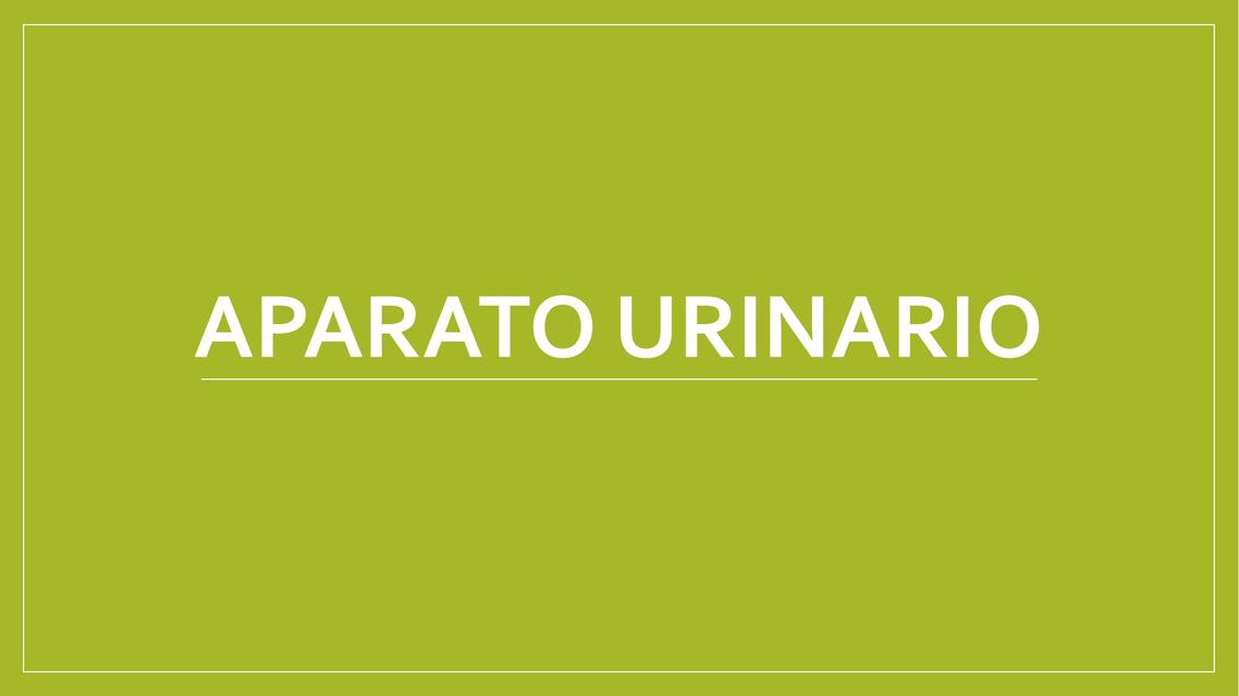 Aparato urinario repaso anatómica y generalidades fisiológicas 