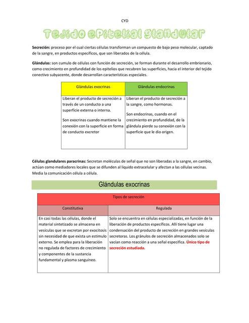 Histología: Tejido Epitelial Glandular 