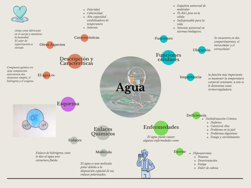 Esquema de las Biomoléculas