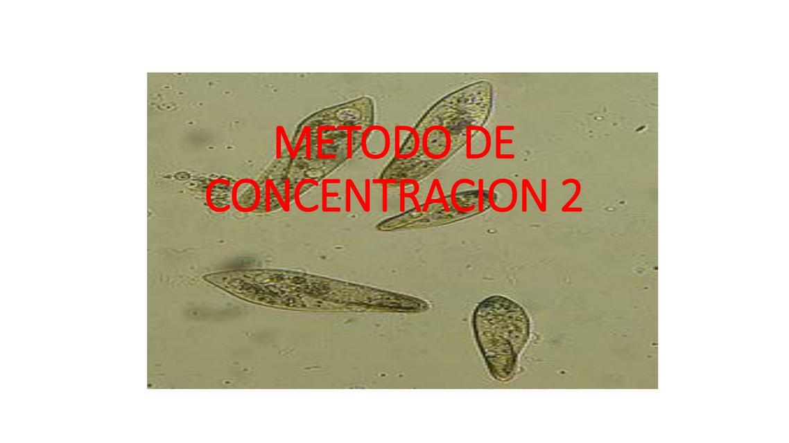 Métodos de concentración de muestras II 