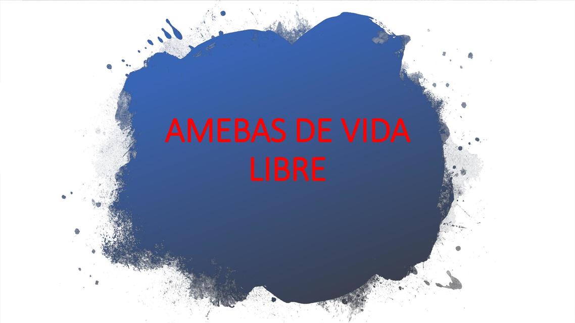 Amebas de vida libre 