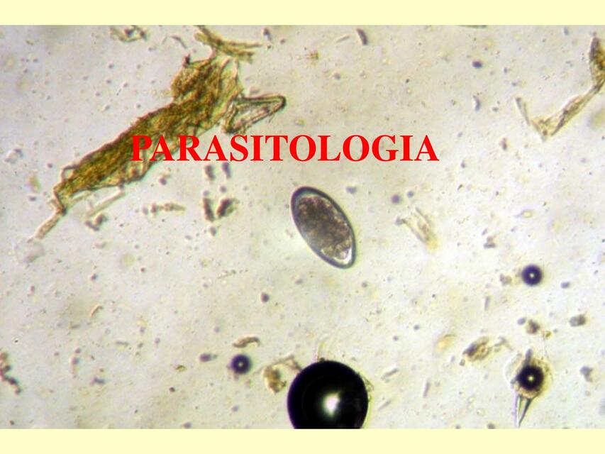 Parasitología