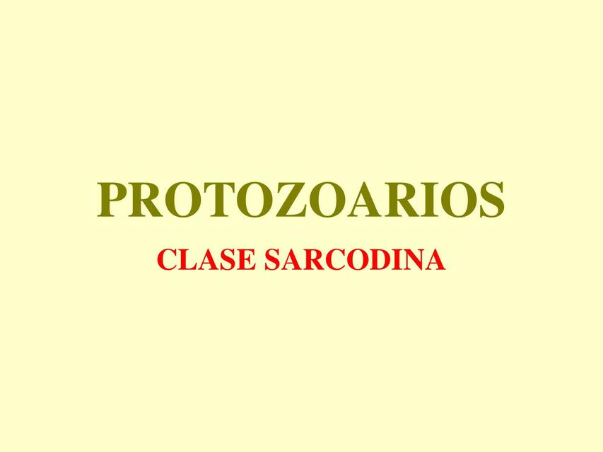 Protozoarios