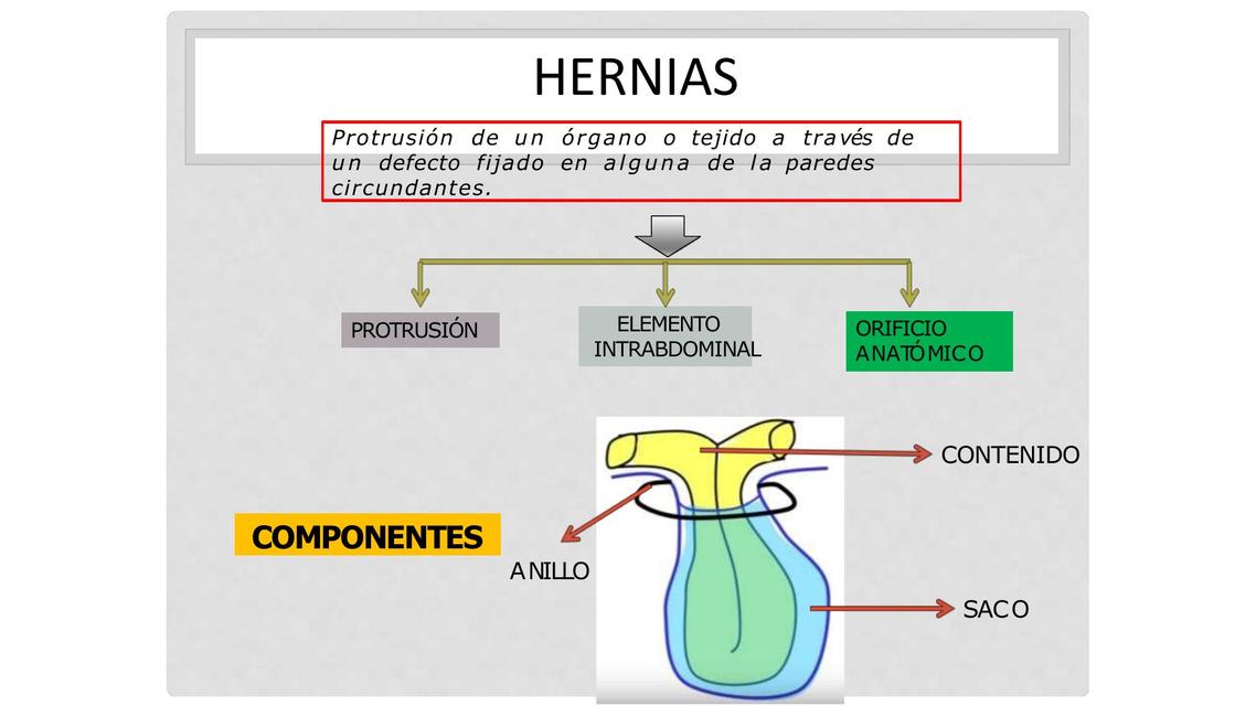 Vista anatomoclínica de las Hernias