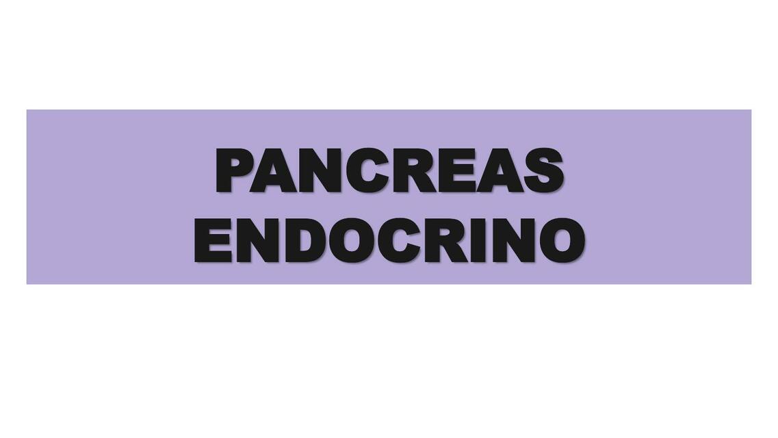 Pancreas endocrino