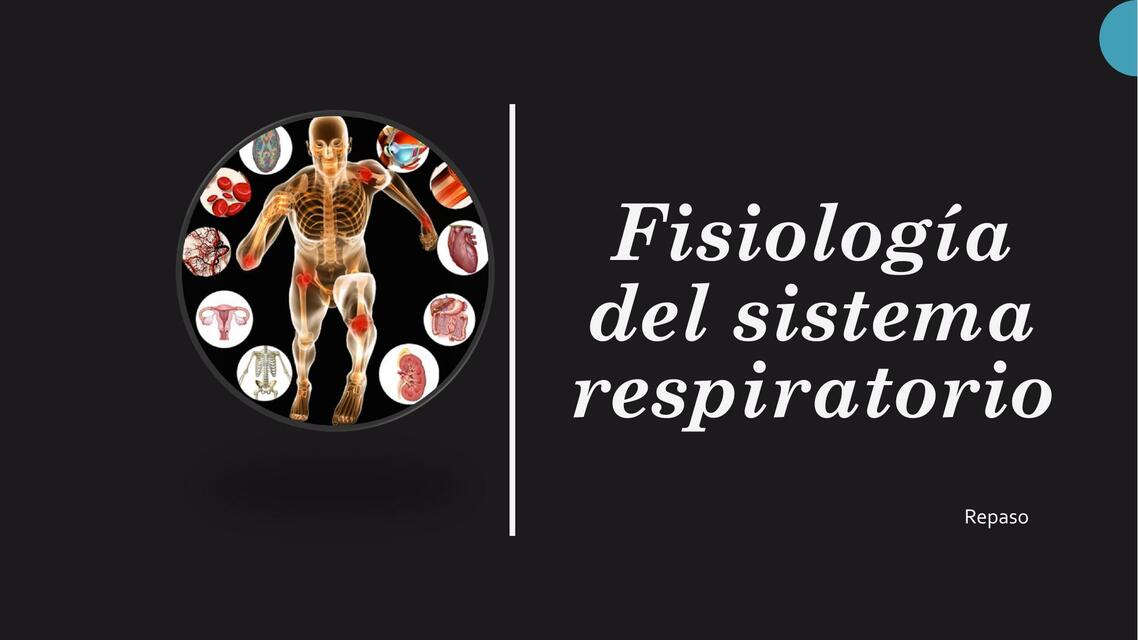 Fisiologia del sistema respiratorio