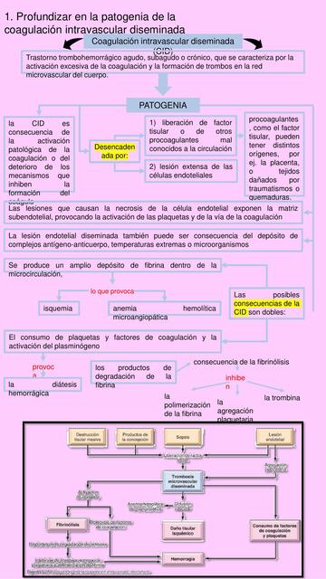 Coagulación intravascular diseminada