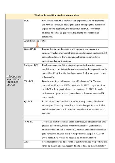 Técnicas de amplicación de ácidos nucleicos