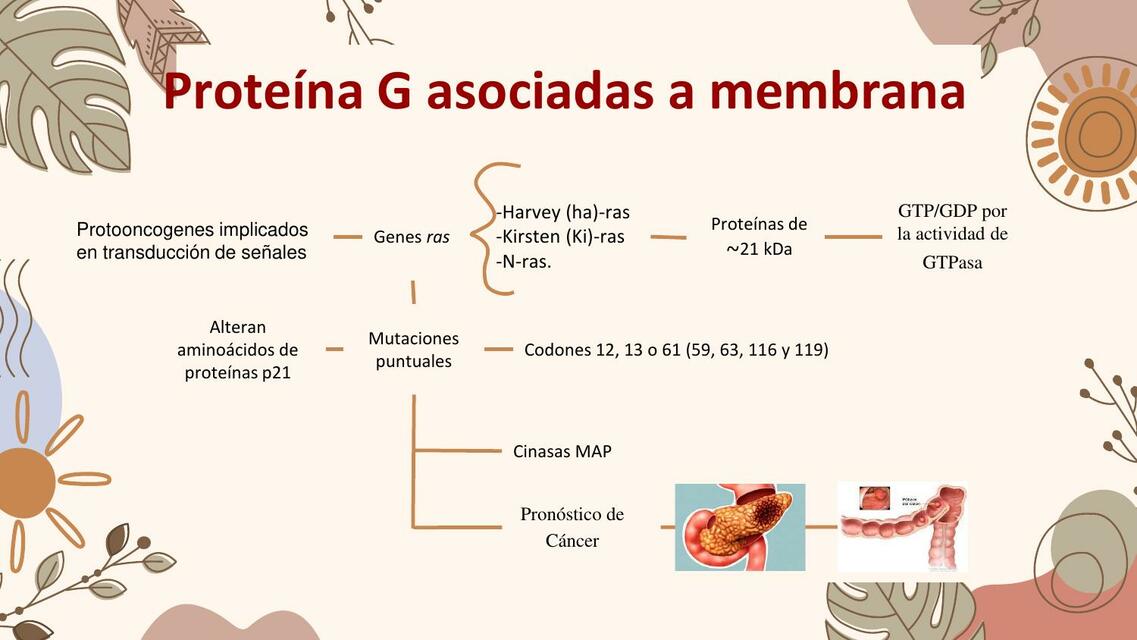 Bases moleculares del cáncer