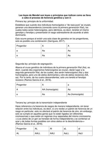 Leyes de Mendel 